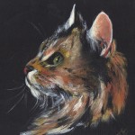 Chat Somali 1 (huile)